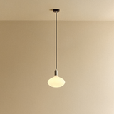 Tala Oval II Pendant Light in Stainless Steel
