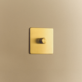 Tala Single Rotary Wall Dimmer in Brass