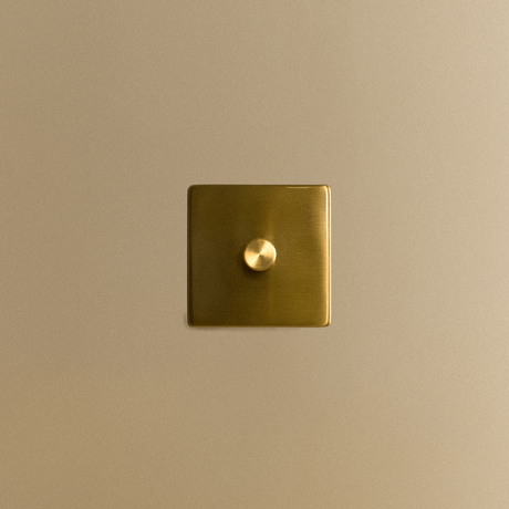 Tala Single Rotary Wall Dimmer in Brass
