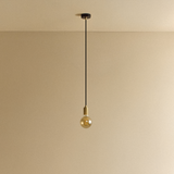 Tala Elva Pendant Light with Tinted Glass in Brass
