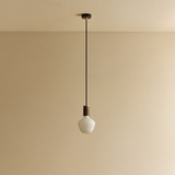 Tala Enno Pendant Light in Walnut