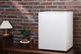 Subcold Eco60F Mini Freezer White | 42L