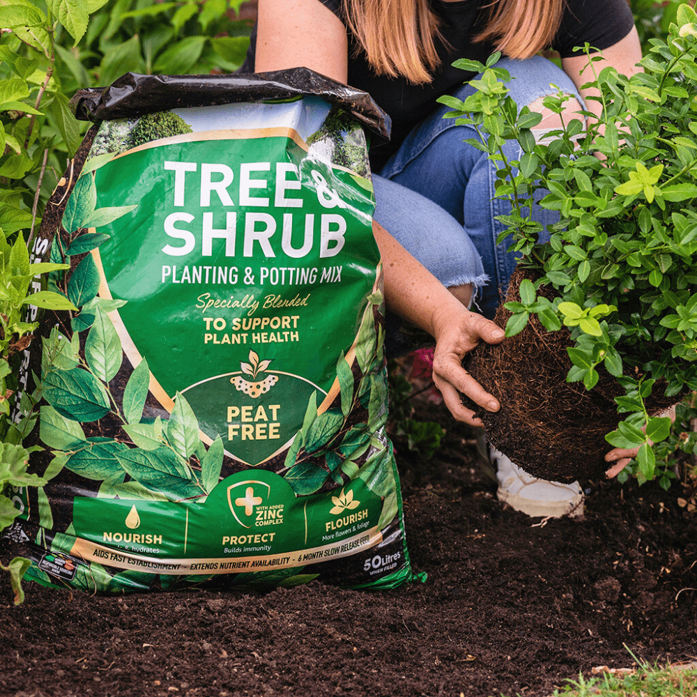 Dandy's Tree & Shrub Planting Potting Mix 50L Bulk Buy