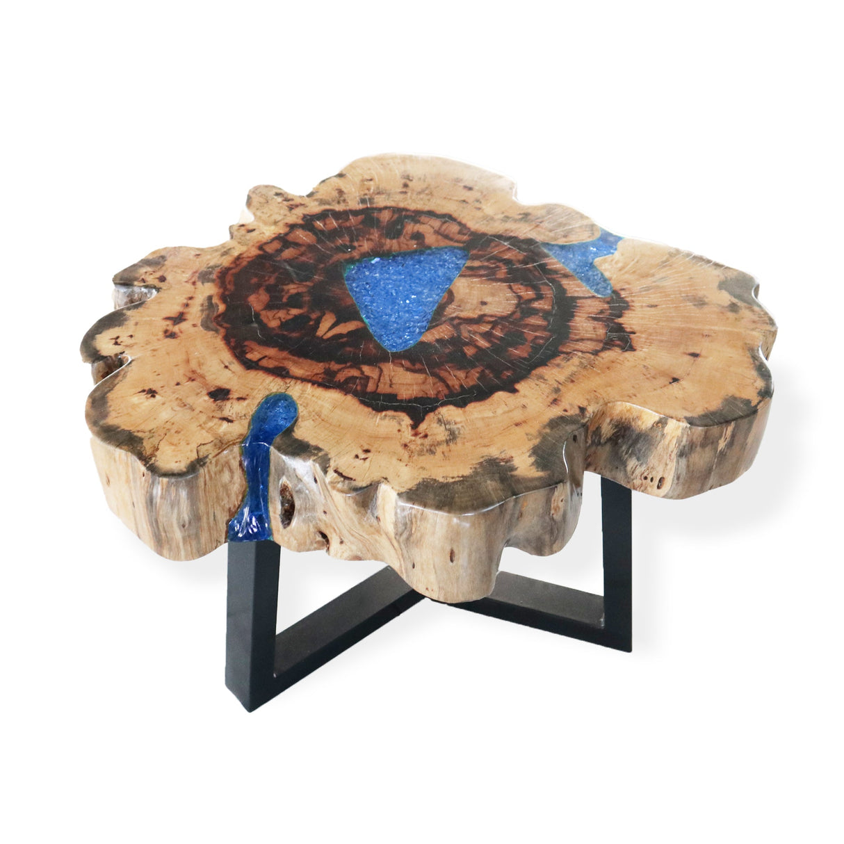 Yorkshire Bonsai Tamarind Resin Coffee Table - Sky Blue