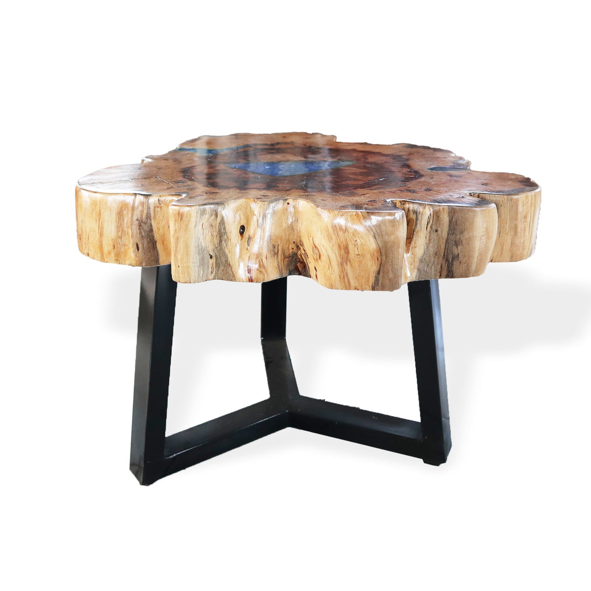 Yorkshire Bonsai Tamarind Resin Coffee Table - Sky Blue