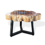 Yorkshire Bonsai Tamarind Resin Coffee Table - Sky Blue