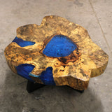 Yorkshire Bonsai Tamarind Resin Coffee Table - Sky Blue