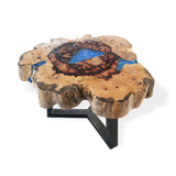 Yorkshire Bonsai Tamarind Resin Coffee Table - Sky Blue