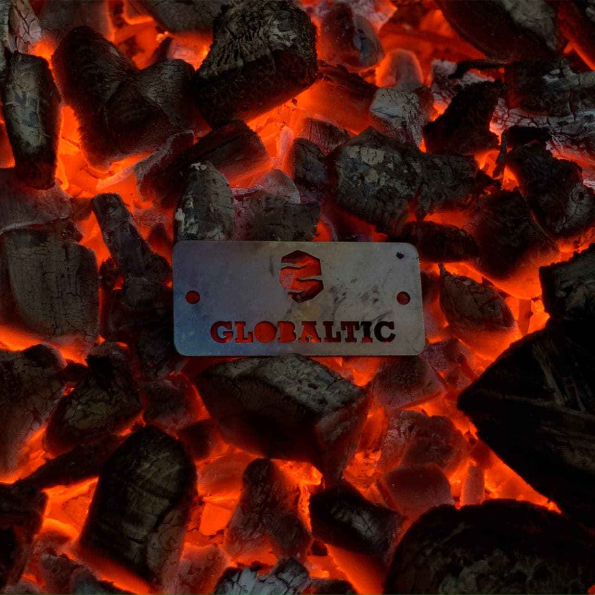 Globaltic The Burnt Chef Project Birch Charcoal - 10kg