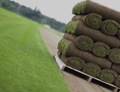 TurfStore Premier Lawn Turf Bulk Buy Rolls - 30/40/50 Pack