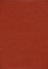 The Rugs Urban Outdoor Rug Terra 1000