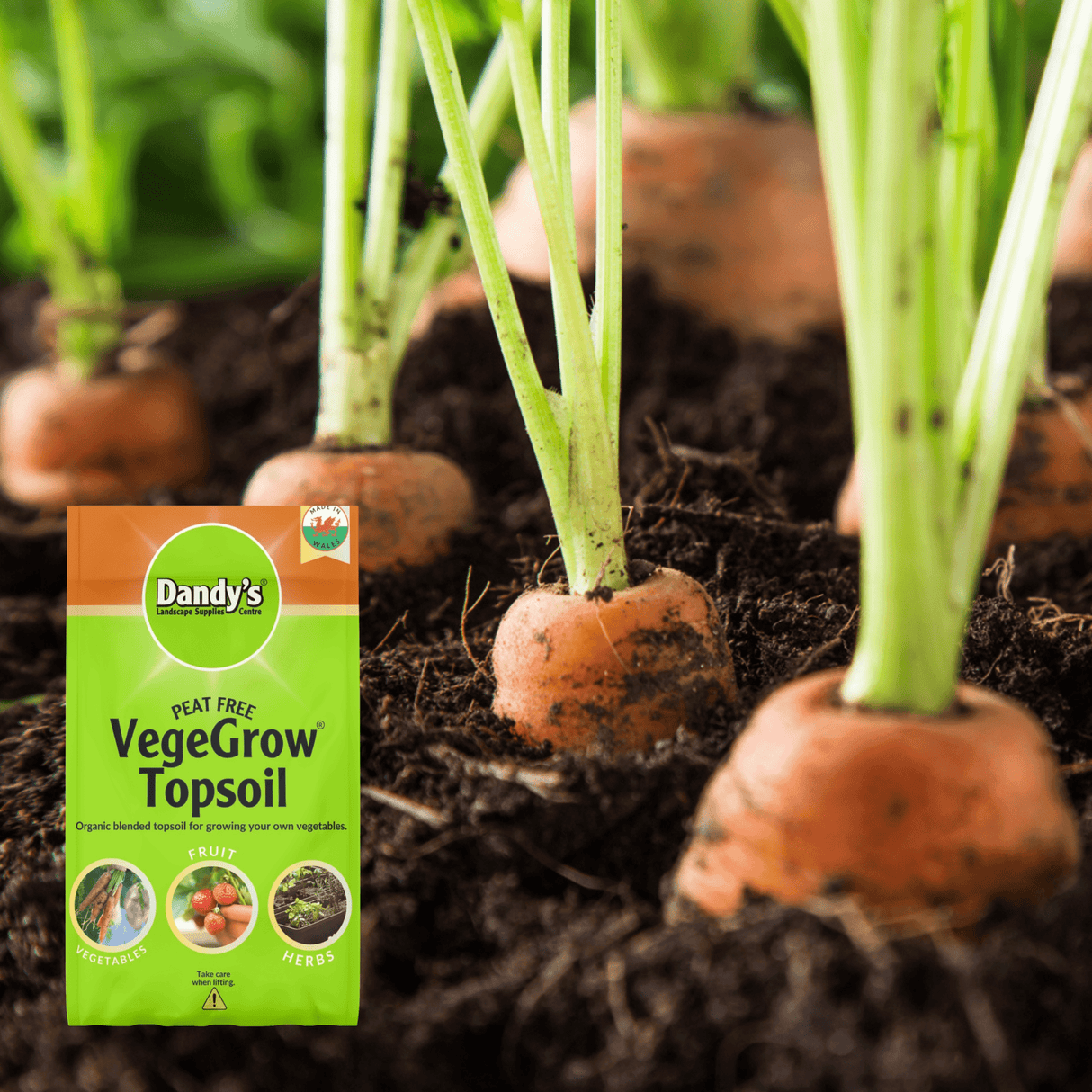 Dandy’s VegeGrow® Welsh Rich Topsoil for vegetables