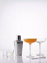 Ravenhead Entertain Martini Cocktail Set