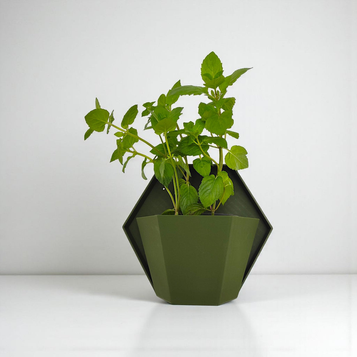 Filamora Studios Geometric Wall Planter for Herbs