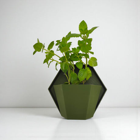 Filamora Studios Geometric Wall Planter for Herbs