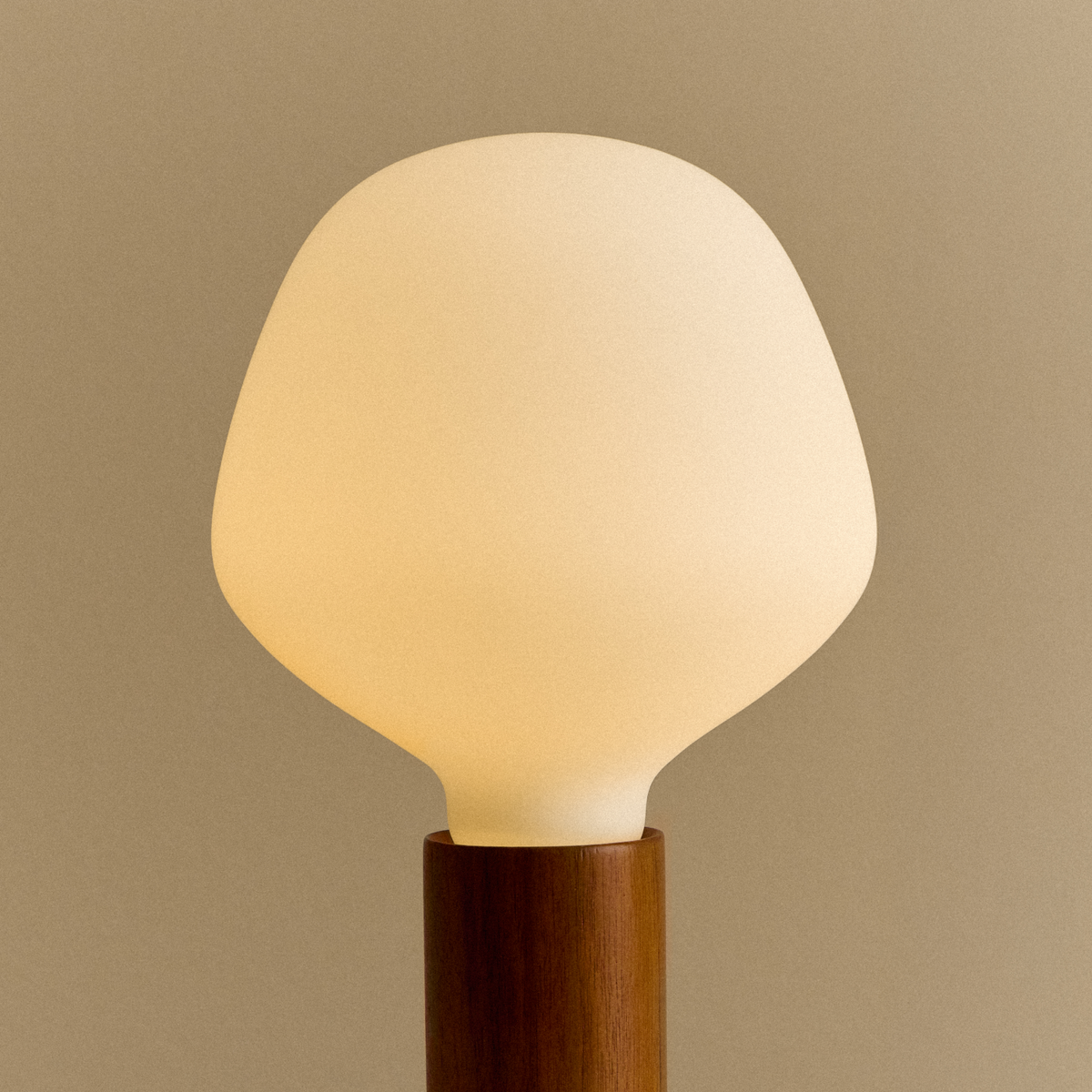 Tala Knuckle Table Lamp in Walnut with Enno Bulb