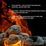 Globaltic Birch Charcoal Briquettes - 10kg