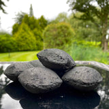 Globaltic Birch Charcoal Briquettes - 10kg