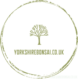 Yorkshire Bonsai UK Gift Card