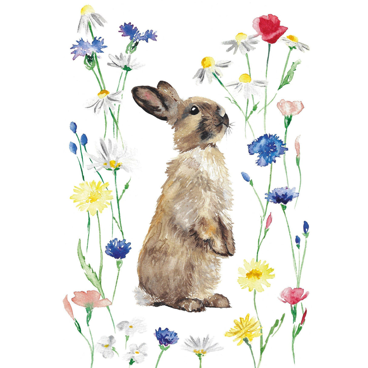 Spring Bunny Rabbit Watercolour Greetings Card | Katie Hipwell Design