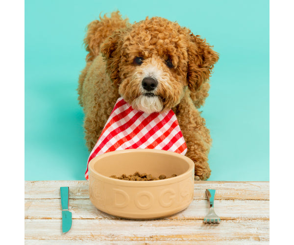 Mason Cash Lettered Dog Bowl, 15cm, Cane 