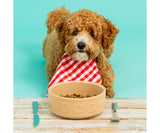 Mason Cash Lettered Dog Bowl, 15cm, Cane 
