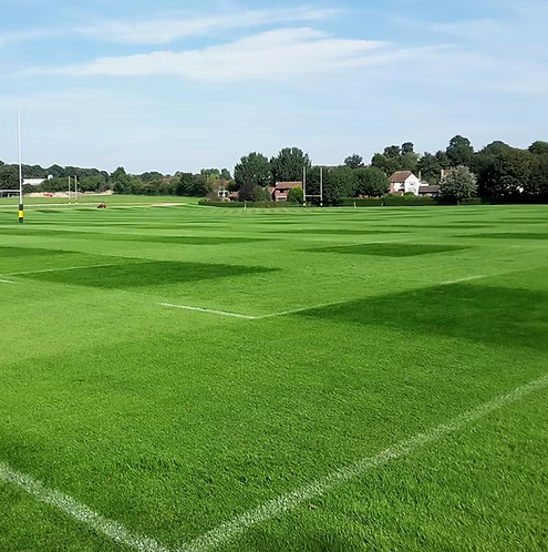TurfStore FR.3 Contractor 3 Way Rye Grass Seed Mix 20kg