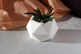 Gloria Home White Concrete Polygonal Pot