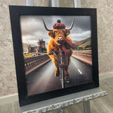 Pagazzi Highland Cow on a Bicycle Wall Art with Black Frame