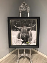 Pagazzi Highland Cow & Abstract Orange Print