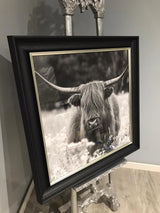 Pagazzi Highland Cow & Abstract Orange Print