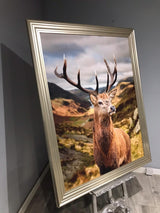 Pagazzi Stag Canvas Wall Art