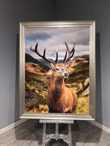 Pagazzi Stag Canvas Wall Art