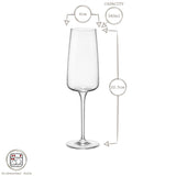 Rinkit Nexo Glass Stemware Set - 12 Piece