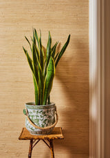 Casa by Josephine Jenno Anais Dynasty Ice Bucket