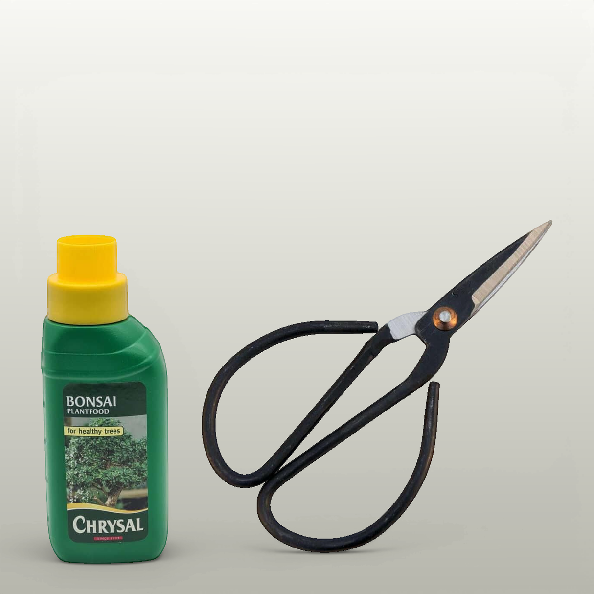 Basic Bonsai Care Kit | Essential Tools Set by Yorkshire Bonsai