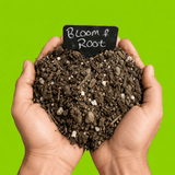 Dandy’s Bloom & Root® Rose Blend Topsoil