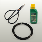 Yorkshire Bonsai Starter Kit – Complete Bonsai Care Tool & Growing Set