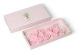 Blush Dreams Velvet Bow Collection by Casa by Josephine Jenno