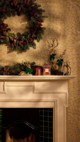 Casa by Josephine Jenno Luxury Forest Green Velvet Bow Collection