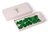 Casa by Josephine Jenno Luxury Forest Green Velvet Bow Collection