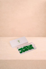 Casa by Josephine Jenno Luxury Forest Green Velvet Bow Collection