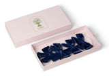 Casa by Josephine Jenno Midnight Navy Velvet Bow Collection