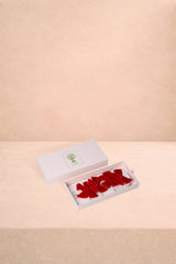 Casa by Josephine Jenno Red Romance Velvet Bow