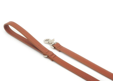 Ralph & Co Brown Leather Dog Lead