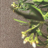 Washable Mat & Runners Plain Design by The Rugs