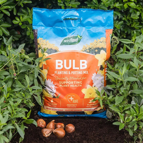 Dandy's Bulb Planting & Potting Mix 20L Bulk Buy