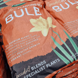 Dandy's Bulb Planting & Potting Mix 20L Bulk Buy