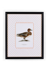 Duck I Framed Print “The Most Dashing Duck” Wall Art | Casa by Josephine
