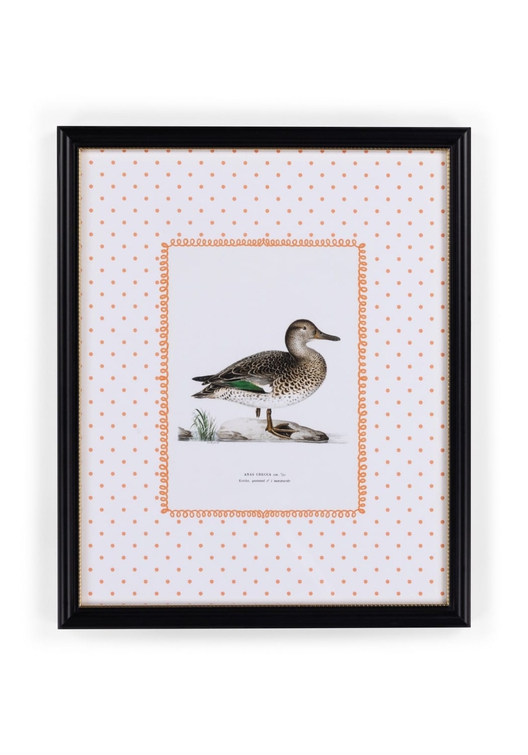 Casa by Josephine Jenno Duck II Framed Print Wall Art